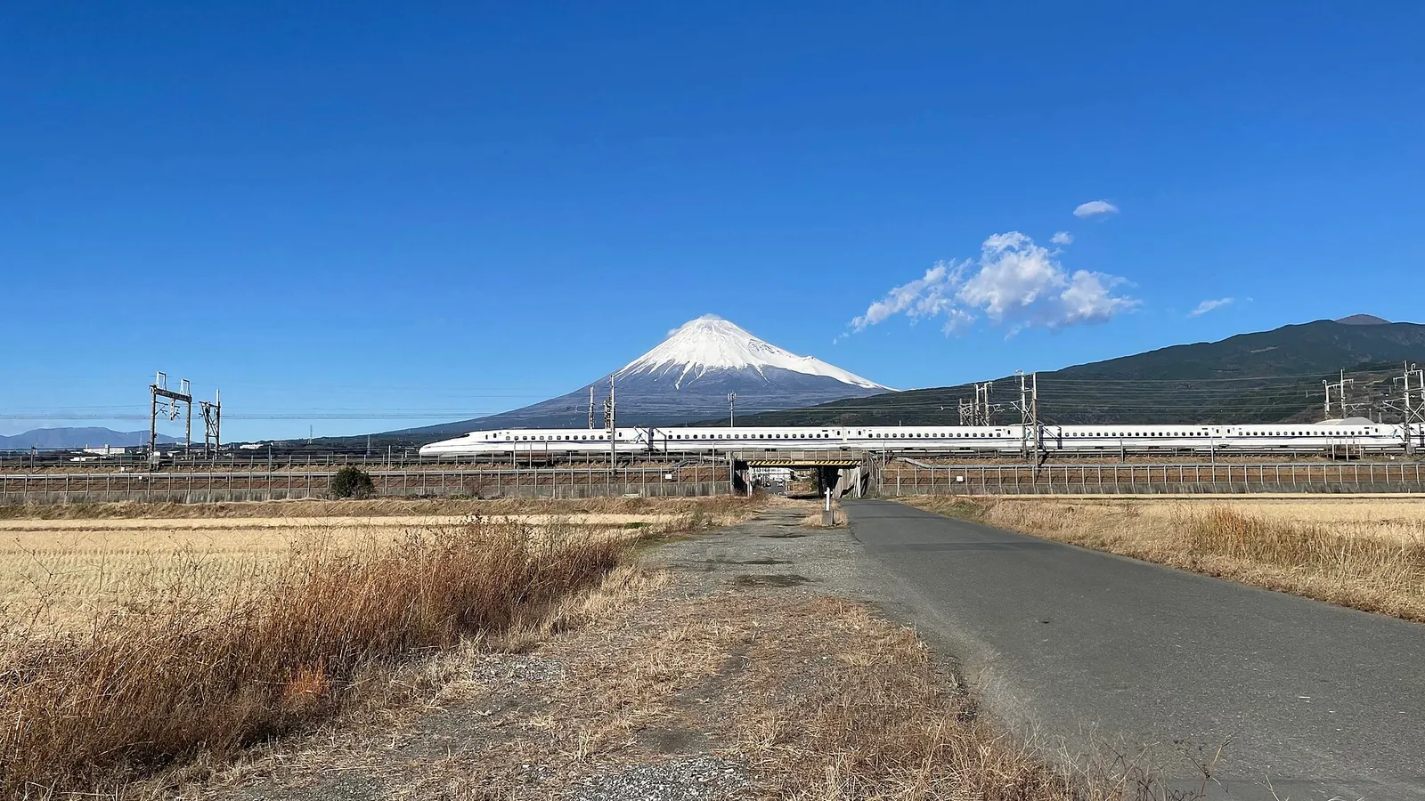 A sleek shinkansen bullet train speeding past with Mount Fuji in the background in Japan