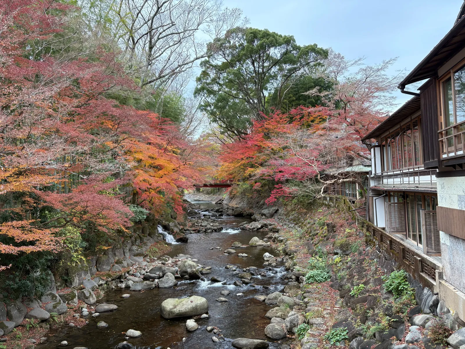 A river running past wooden inn buildings in Izu with maples turning red along the bank